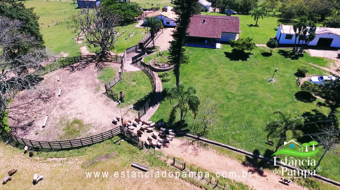 VAI ATE MANGUEIRA OVELHAS.00_02_46_28.Quadro035_9c6f4670baefe4589609415f07f272ca2ba09d95.jpg